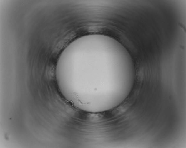 X0000103470277200809261911