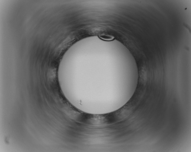 X0000103470278200809261911