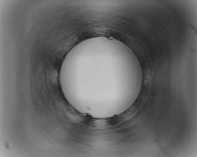 X0000103470279200809261911