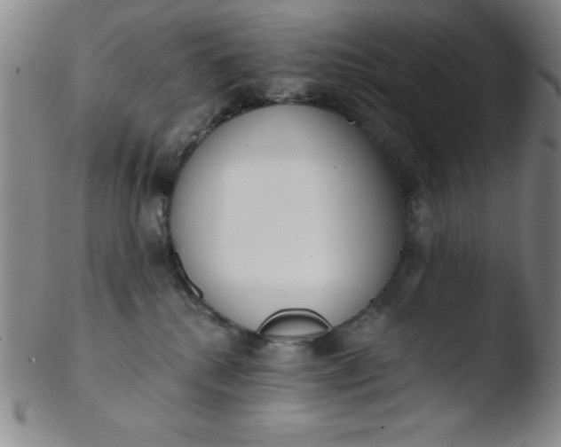 X0000103470280200809261911