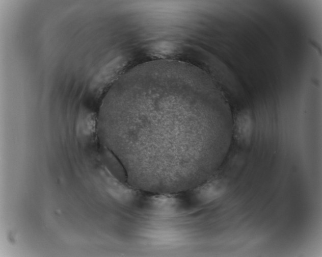 X0000103470284200809261911