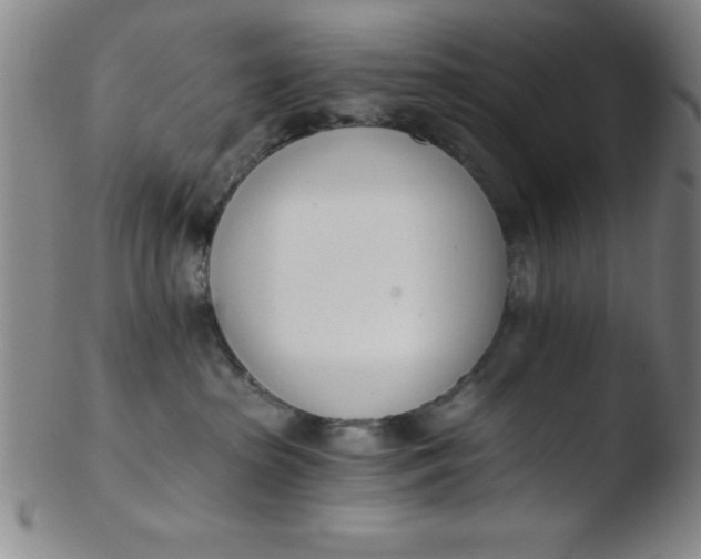 X0000103470285200809261911