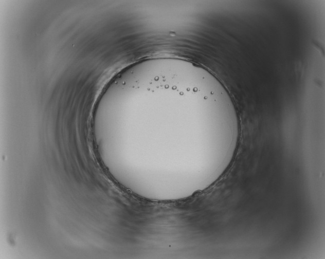 X0000103470289200809261911