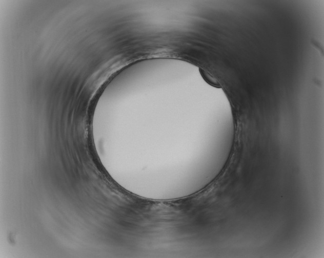 X0000103470290200809261911