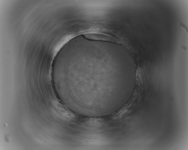 X0000103470292200809261911