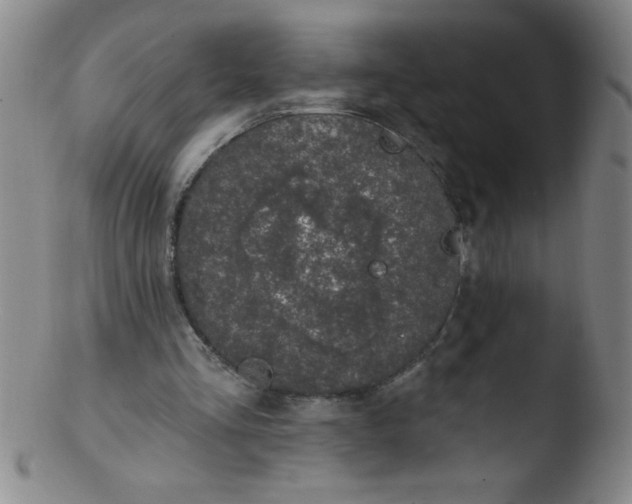 X0000103470293200809261911