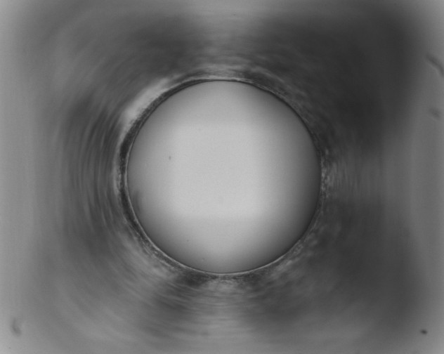 X0000103470294200809261911