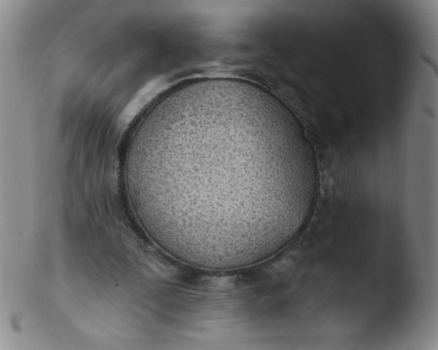 X0000103470295200809261911