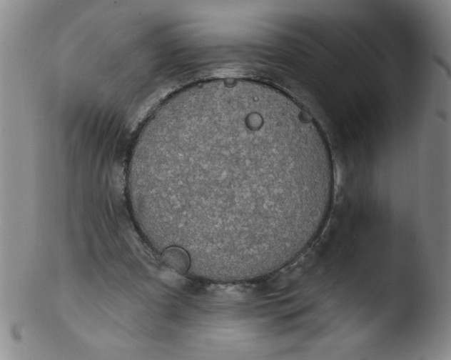 X0000103470297200809261911