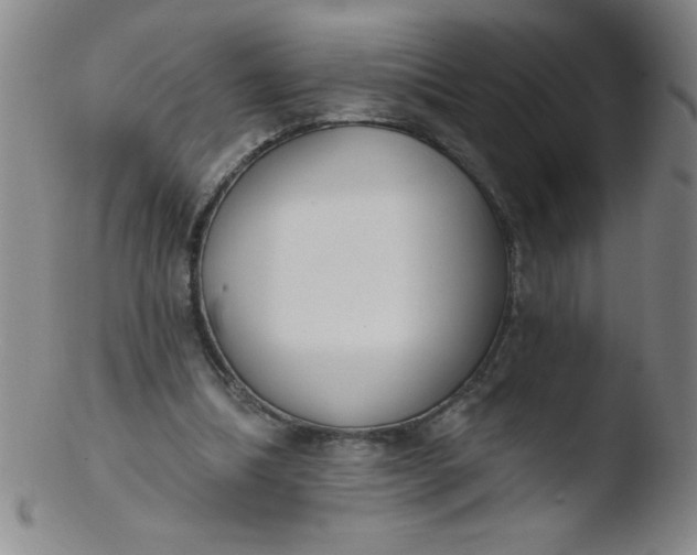 X0000103470298200809261911