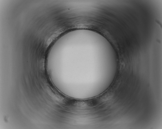 X0000103470299200809261911