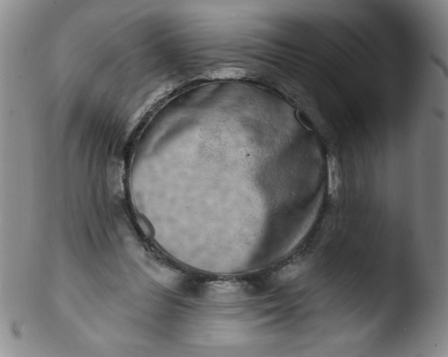 X0000103470300200809261911