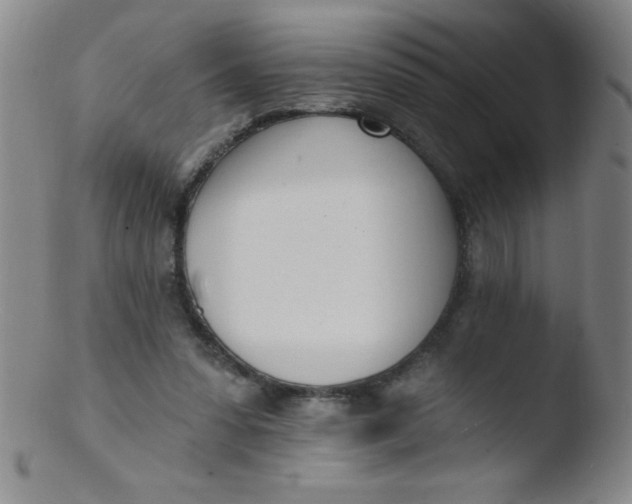 X0000103470303200809261911