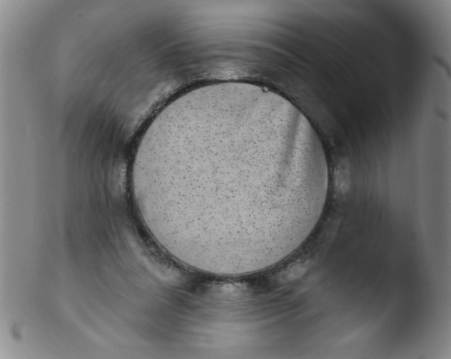 X0000103470304200809261911