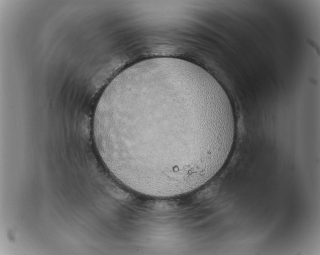 X0000103470305200809261911