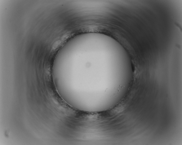 X0000103470306200809261911