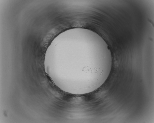 X0000103470307200809261911