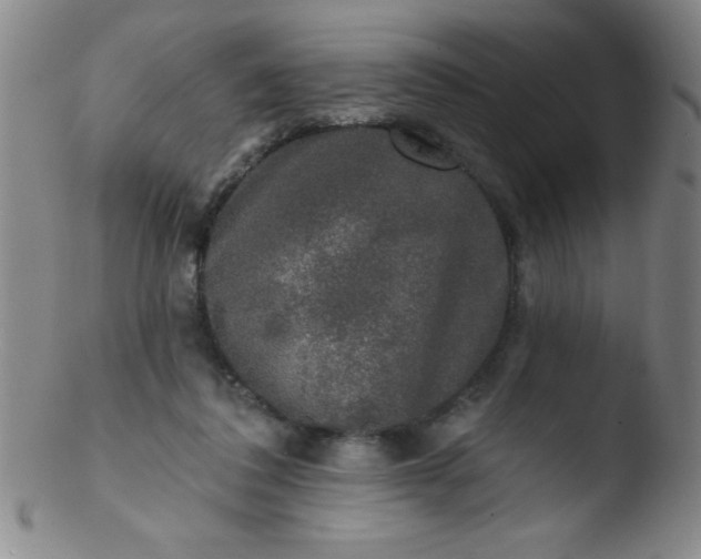 X0000103470308200809261911