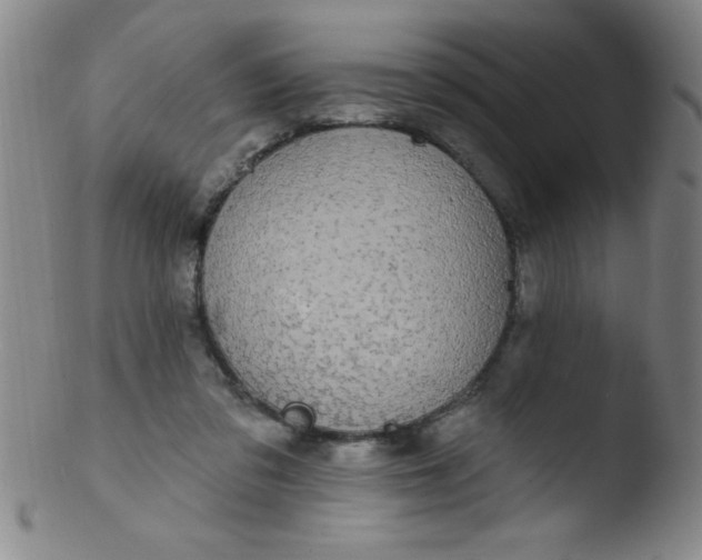 X0000103470309200809261910