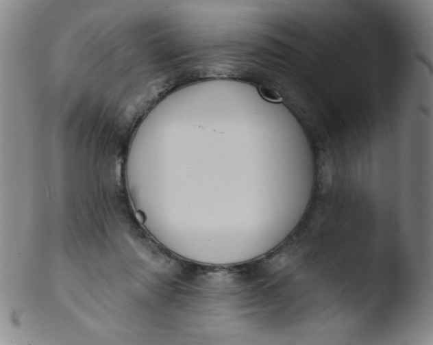 X0000103470310200809261910