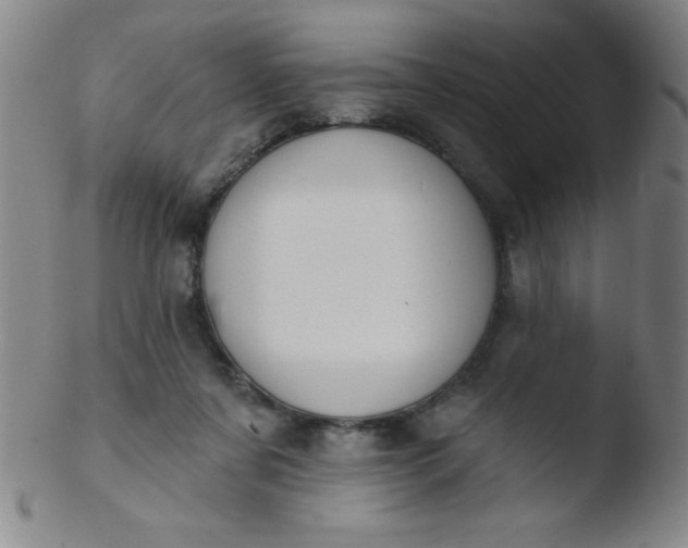 X0000103470311200809261910