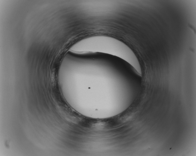 X0000103470312200809261910