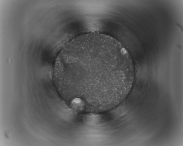 X0000103470313200809261910