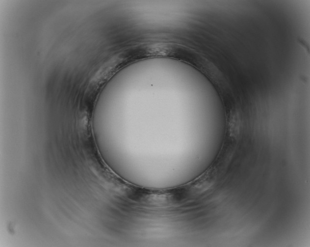 X0000103470314200809261910