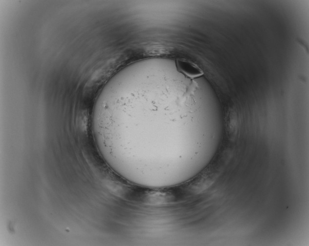 X0000103470315200809261910