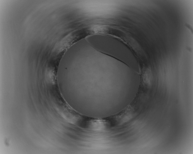 X0000103470316200809261910