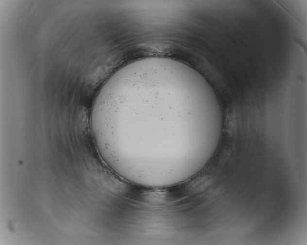 X0000103470318200809261910