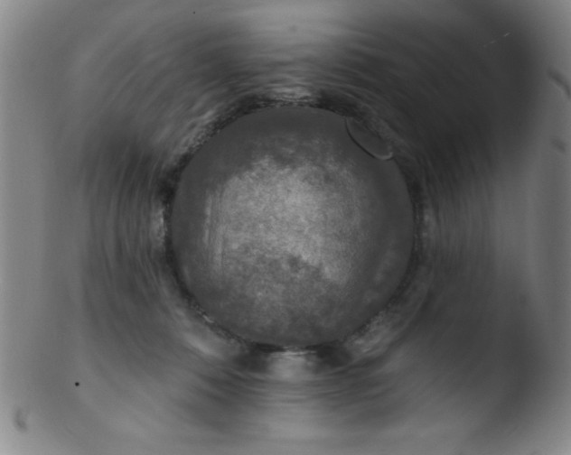 X0000103470320200809261910