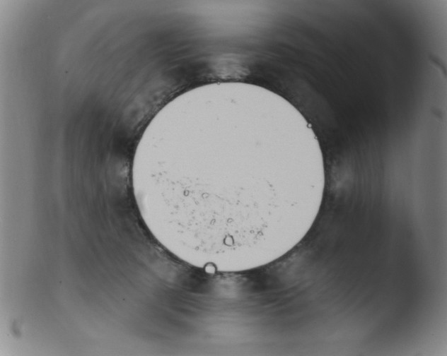 X0000103470321200809261910