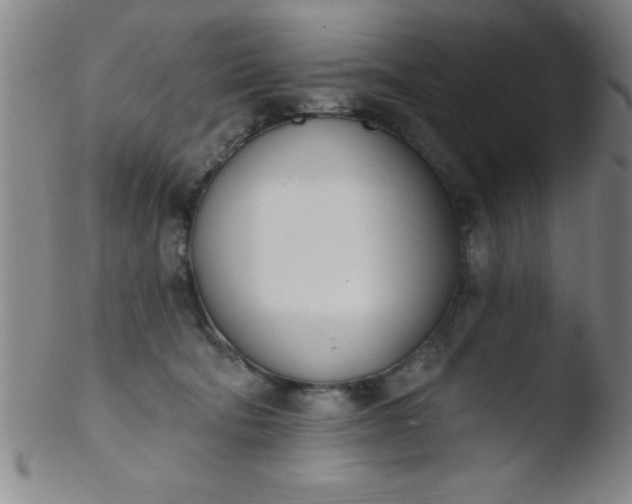 X0000103470322200809261910