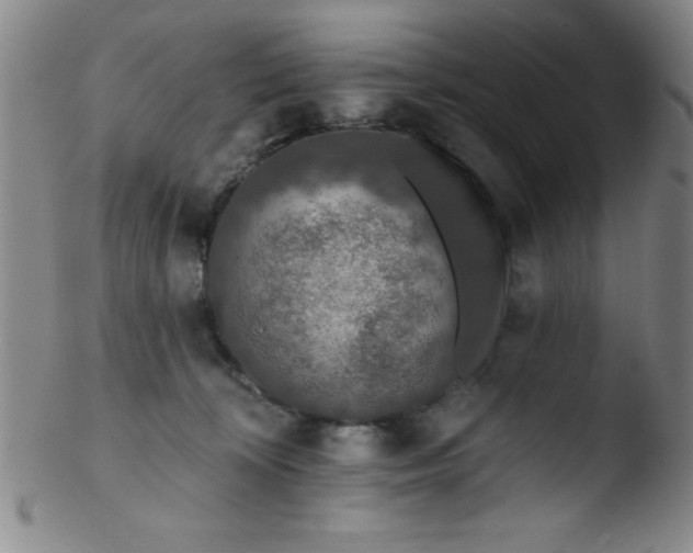 X0000103470324200809261910