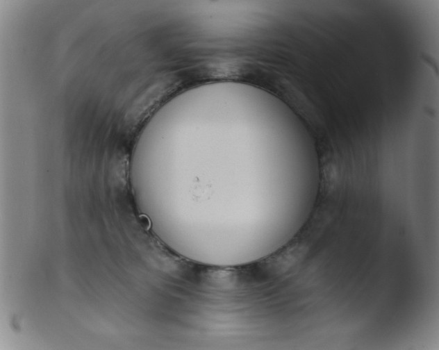 X0000103470325200809261910