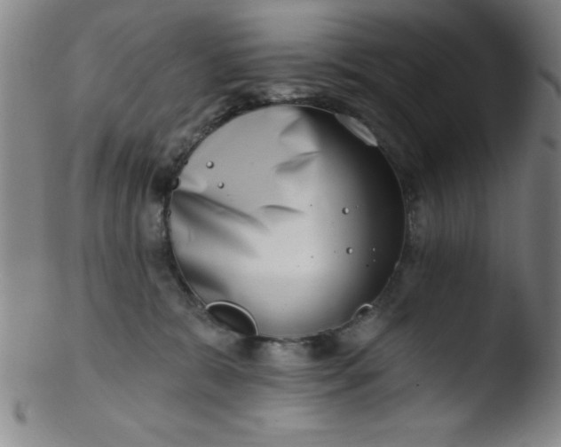 X0000103470327200809261910