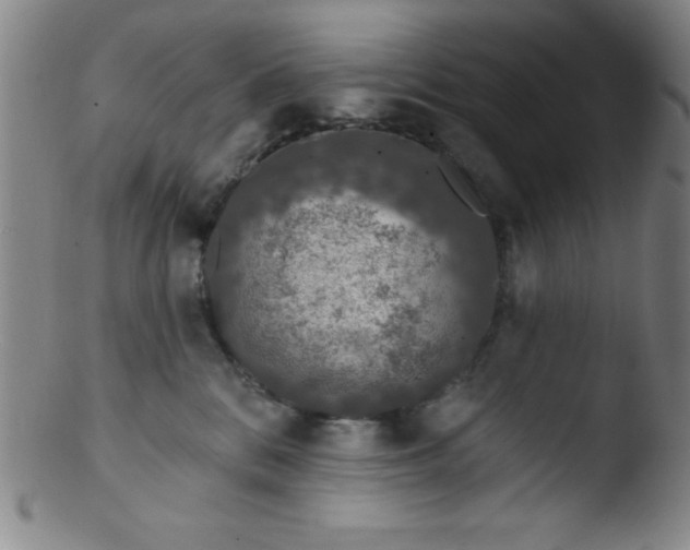 X0000103470328200809261910