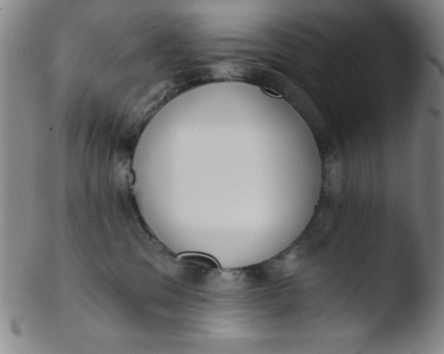 X0000103470329200809261910