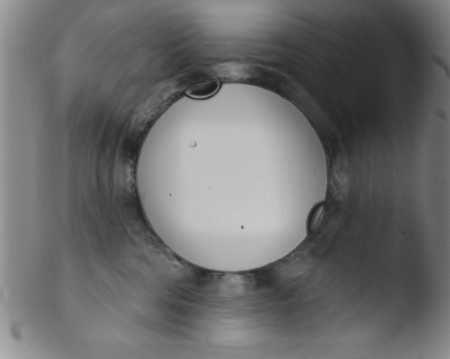 X0000103470330200809261910