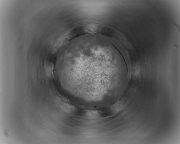 X0000103470332200809261910