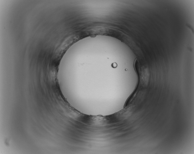 X0000103470333200809261910