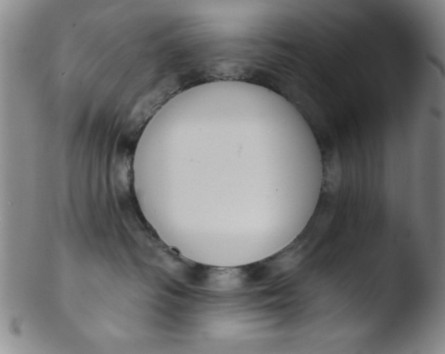 X0000103470334200809261910