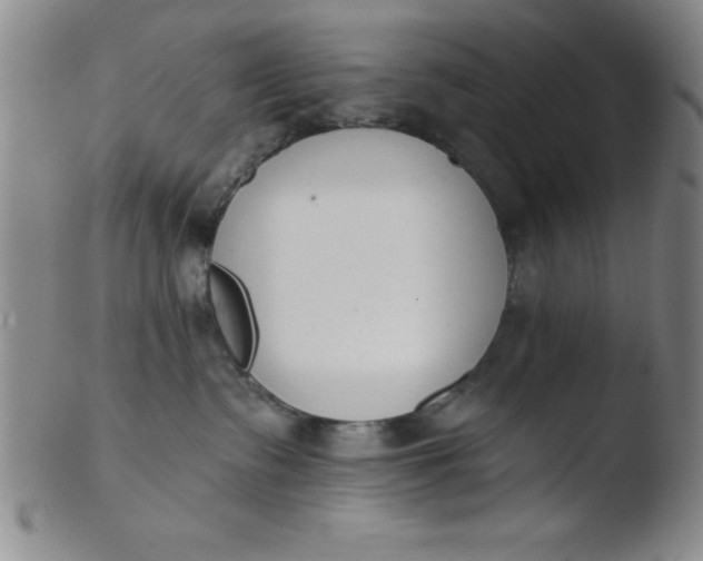 X0000103470335200809261910