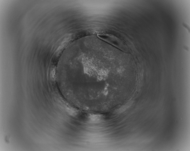 X0000103470336200809261910