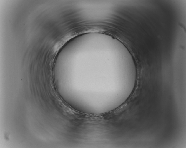 X0000103470337200809261909