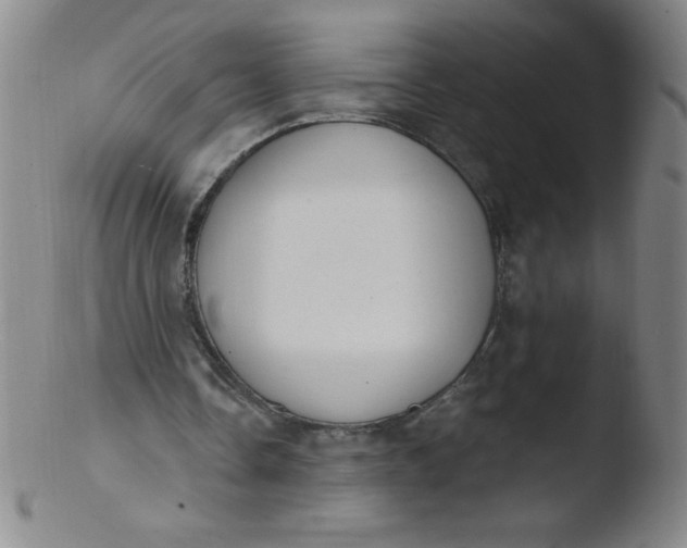 X0000103470338200809261909