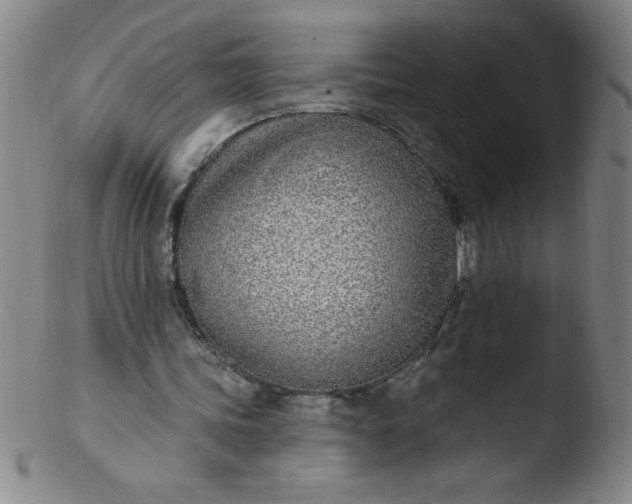 X0000103470339200809261909