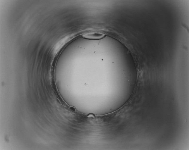 X0000103470340200809261909