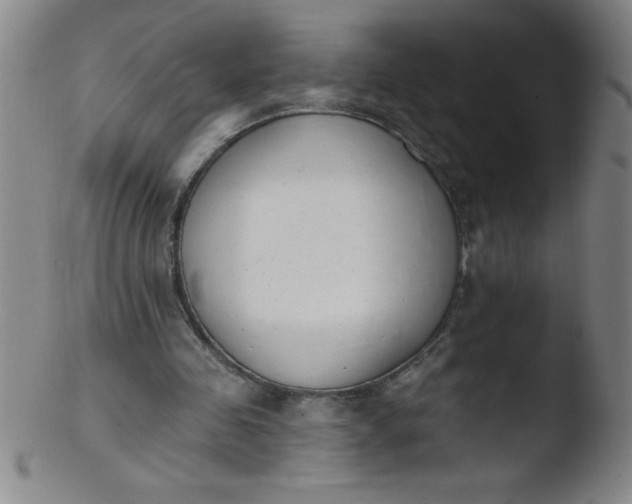 X0000103470341200809261909